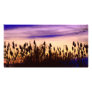 Colorful Autumn Sunset Photo Card