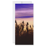 Colorful Autumn Sunset Rack Card Design