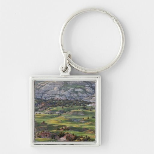 Colorful badlands from Buck Hill overlook in Keychains