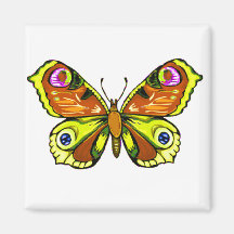 Colorful Beauty 5 Refrigerator Magnets