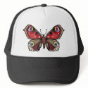 Colorful Beauty hats