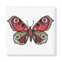 Colorful Beauty magnets