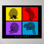 Colorful Beaver posters
