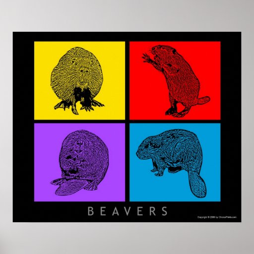 Colorful Beaver Poster