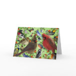 Colorful Bird Collage