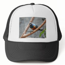 colorful bird mesh hat