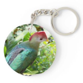 Colorful bird head turned on post key chain