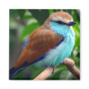 Colorful Bird Magnet