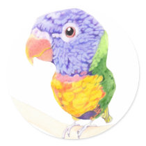 Colorful Bird stickers