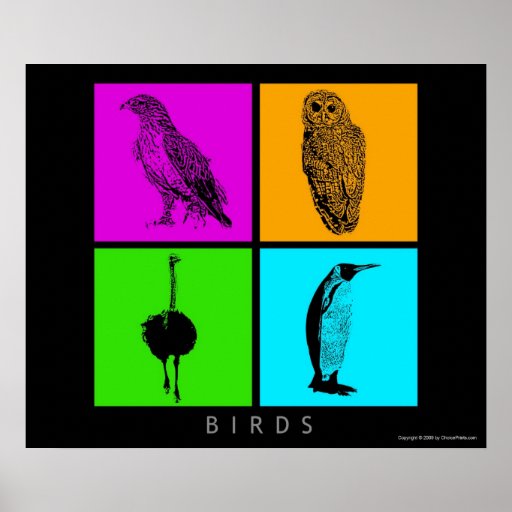 Colorful Birds Poster