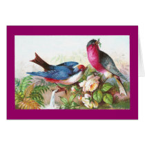 Colorful Birds, Roses & Waterspout Card