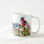 Colorful Birds, Roses & Waterspout Coffee Mugs