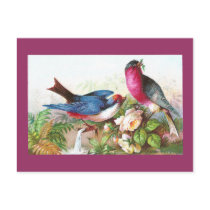 Colorful Birds, Roses & Waterspout Postcard