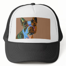Colorful Boston Terrier Hat