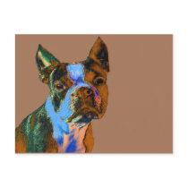 Colorful Boston Terrier Post Card