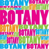 Colorful Botany photo sculptures by busybees Colorful Botany photo sculptures