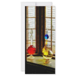 Colorful Bottles in Drug Store Window Rack Card Design