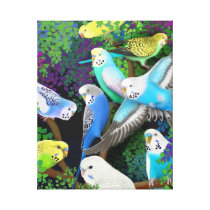Colorful Budgerigar Parakeets Wrapped Canvas