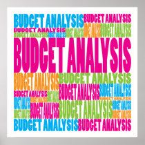 Colorful Budget Analysis Poster