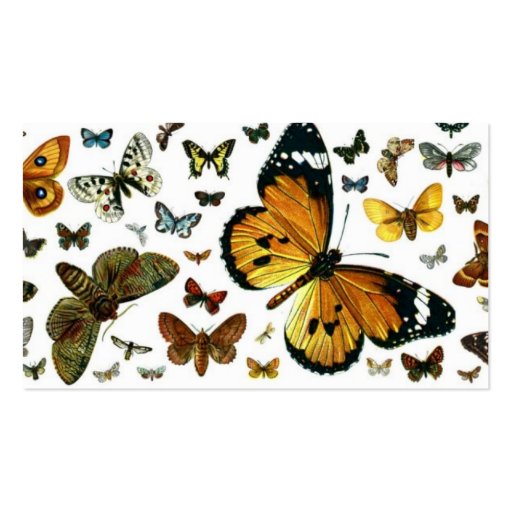Colorful Butterflies Antiquarian Image Bookmark Business Card Template (back side)