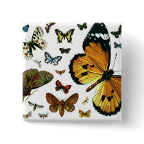 Colorful Butterflies Antiquarian Image Bookmark buttons by MyBookmarks Colorful Butterflies Antiquarian Image Bookmark buttons