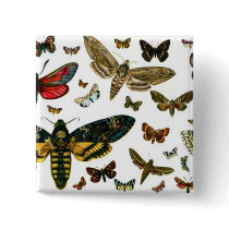 Colorful Butterflies Antiquarian Image Bookmark buttons by MyBookmarks Colorful Butterflies Antiquarian Image Bookmark buttons