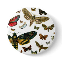 Colorful Butterflies Antiquarian Image Bookmark buttons by MyBookmarks Colorful Butterflies Antiquarian Image Bookmark buttons