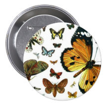 Colorful Butterflies Antiquarian Image Bookmark Pinback Button