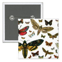 Colorful Butterflies Antiquarian Image Bookmark Buttons