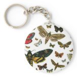 Colorful Butterflies Antiquarian Image Bookmark Keychain