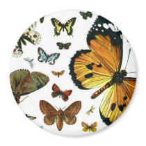 Colorful Butterflies Antiquarian Image Bookmark magnets by MyBookmarks Colorful Butterflies Antiquarian Image Bookmark magnets