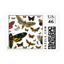 Colorful Butterflies Antiquarian Image Bookmark postage by MyBookmarks Colorful Butterflies Antiquarian Image Bookmark postage