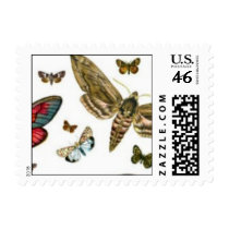 Colorful Butterflies Antiquarian Image Bookmark postage by MyBookmarks Colorful Butterflies Antiquarian Image Bookmark postage