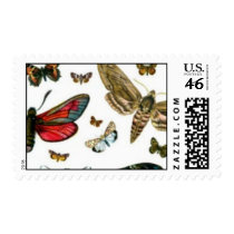 Colorful Butterflies Antiquarian Image Bookmark postage by MyBookmarks Colorful Butterflies Antiquarian Image Bookmark postage