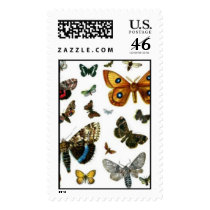 Colorful Butterflies Antiquarian Image Bookmark Postage