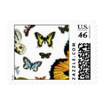 Colorful Butterflies Antiquarian Image Bookmark Postage Stamp