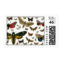 Colorful Butterflies Antiquarian Image Bookmark postage by MyBookmarks Colorful Butterflies Antiquarian Image Bookmark postage