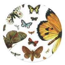 Colorful Butterflies Antiquarian Image Bookmark stickers