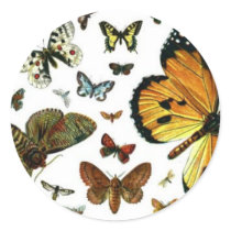Colorful Butterflies Antiquarian Image Bookmark stickers