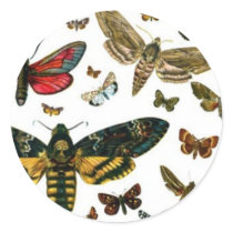 Colorful Butterflies Antiquarian Image Bookmark stickers