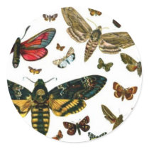 Colorful Butterflies Antiquarian Image Bookmark stickers