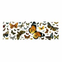Colorful Butterflies Antiquarian Image Bookmark t-shirts