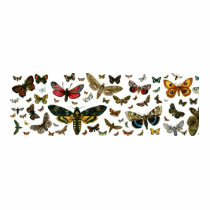 Colorful Butterflies Antiquarian Image Bookmark t-shirts