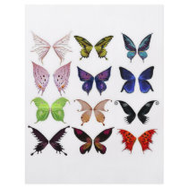Colorful butterflies flyers by babetrang Colorful butterflies flyers