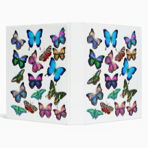 Colorful Butterflies & Moths Avery Binder