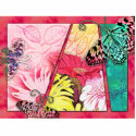 Colorful Butterflies photo sculptures