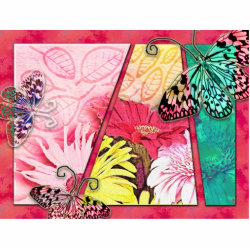 Colorful Butterflies photosculpture