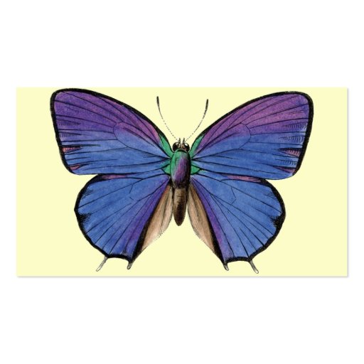 Colorful Butterfly Business Card (back side)