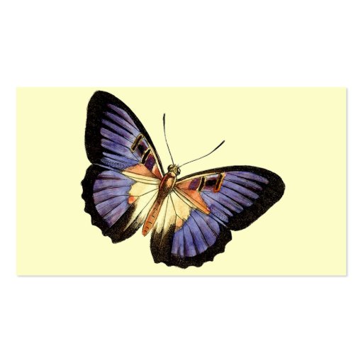 Colorful Butterfly Business Card (back side)