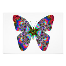 Colorful Butterfly Mandala Photograph